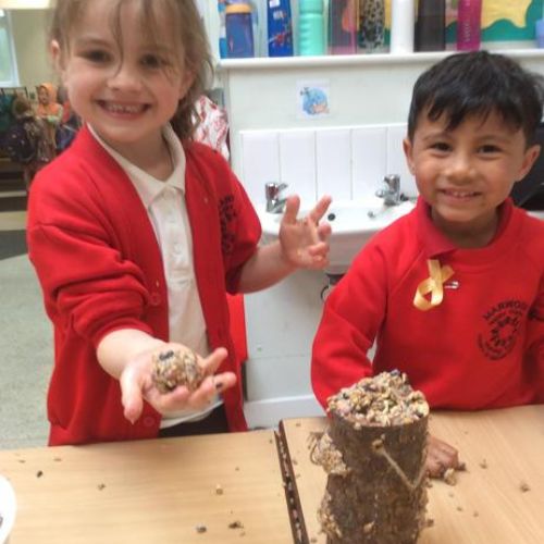 Making bird feeder (science)