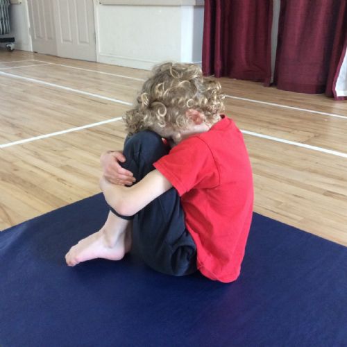 Gymnastic Shapes