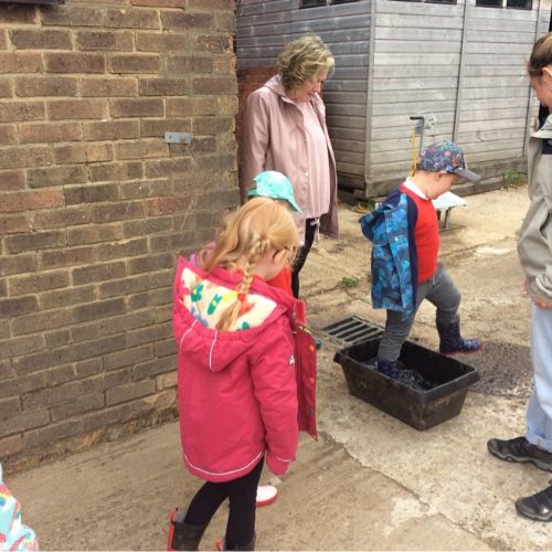 Farm Visit